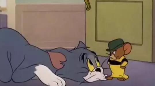 猫和老鼠中的白富美猫,汤姆就没追到过她,因为竞争对手很厉害