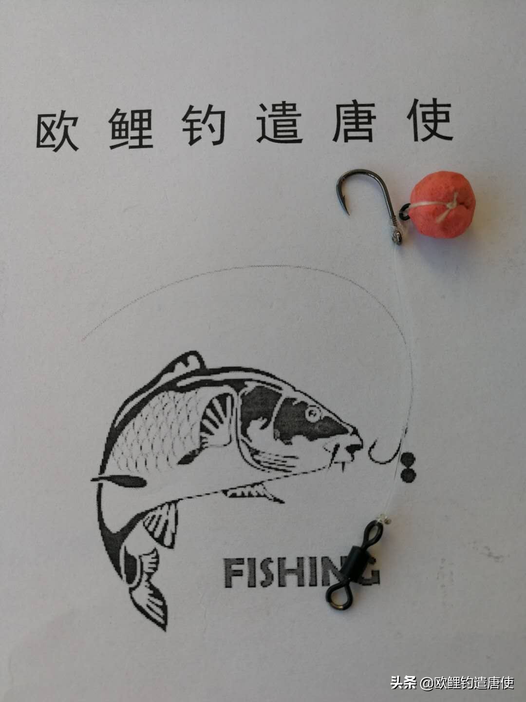 欧鲤钓钓组篇,欧鲤钓组和飞德钓组