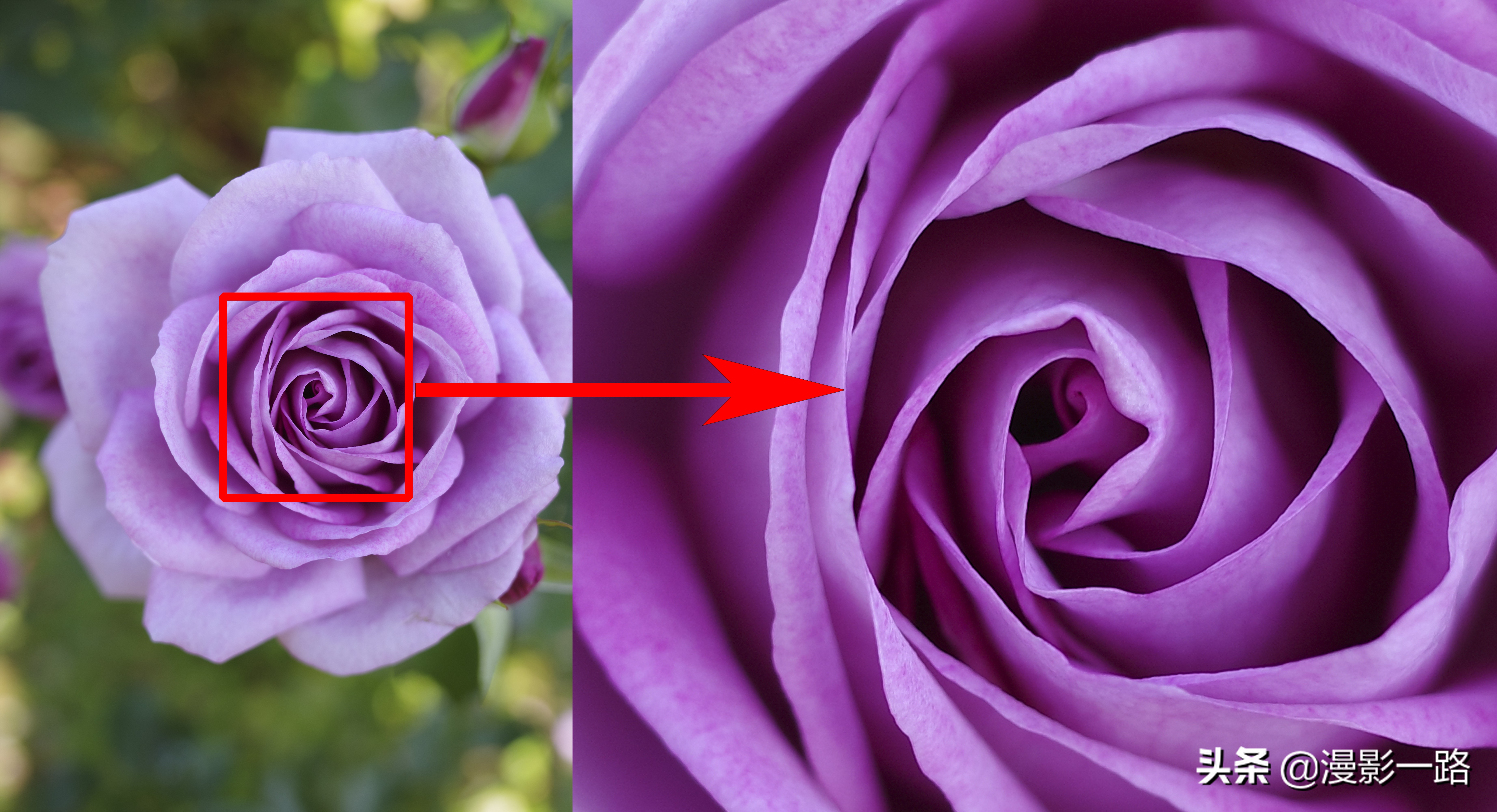 理光GRIII数码相机还是街拍神器吗？对比GRII有哪些优势和不足？