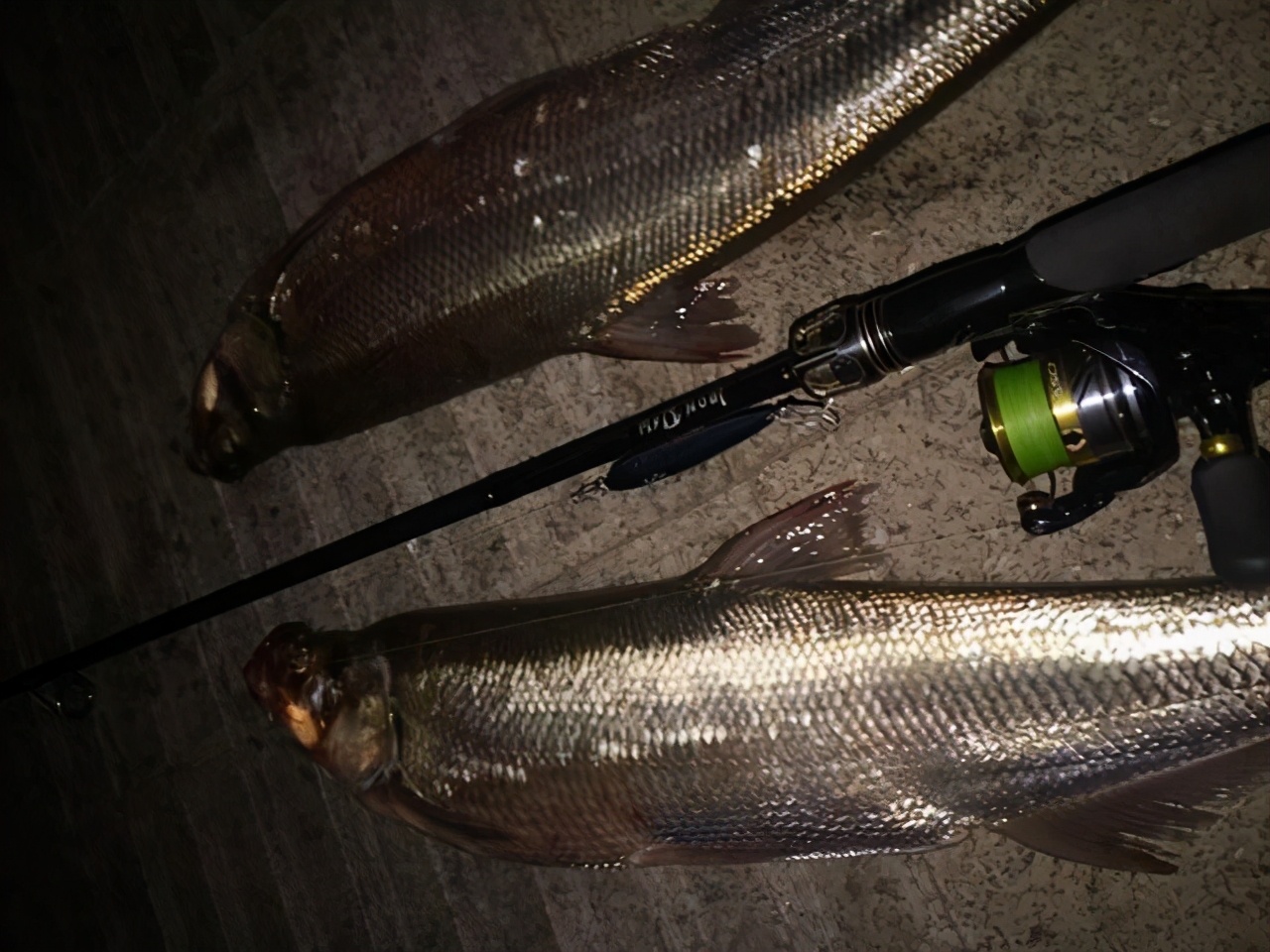 路亚新手用水滴还是纺车轮,路亚新人避坑指南鱼竿应该怎么选