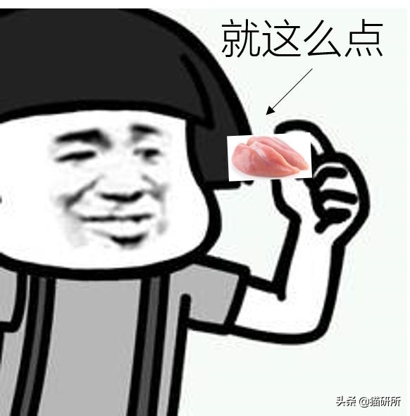 生肉如何处理喂猫,幼猫喂生肉的正确方法