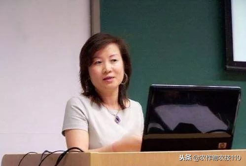 10万变5亿,这位女华人竟靠蜡烛征服总统夫人!