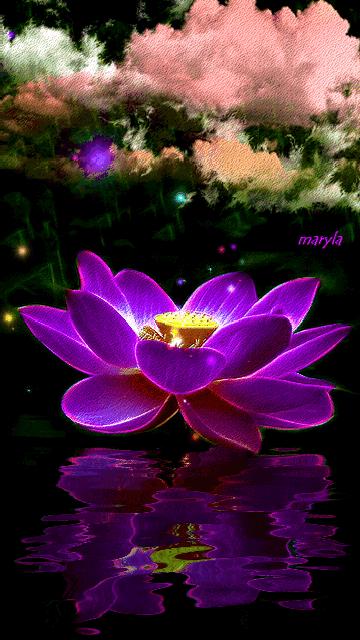 50张极致水中花美照!绝世千年!一次一张!(速看)