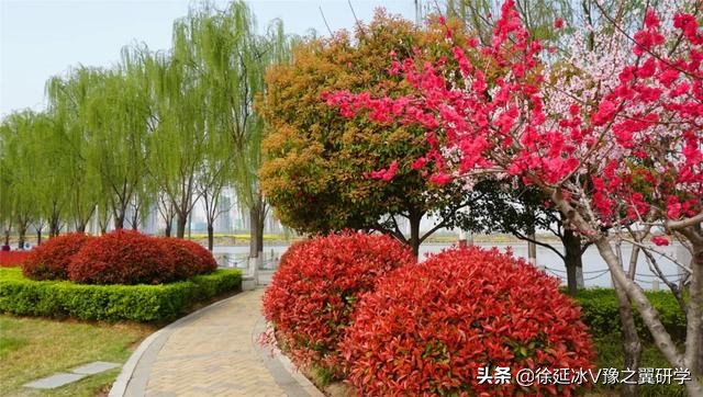 不出郑州旅游攻略,郑州五一游玩公园推荐