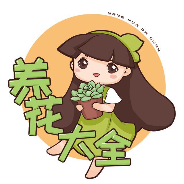 养花让生活更美好结尾要怎么写,养花让生活更美好