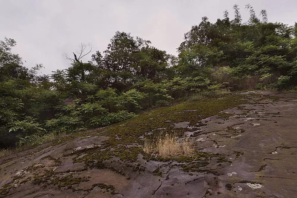 渝北枇杷正黄，冒冒失失穿越铁壁、胜保、斗碗三寨