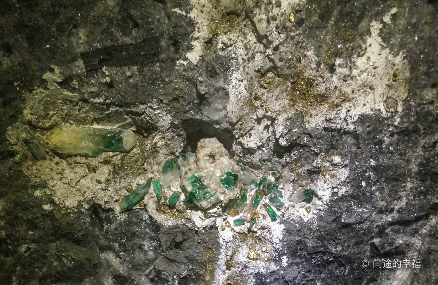 哥伦比亚大陆黄金,哥伦比亚的黄金贵吗