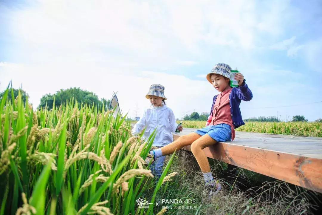 距离上海最近的水乡,上海周边的江南水乡