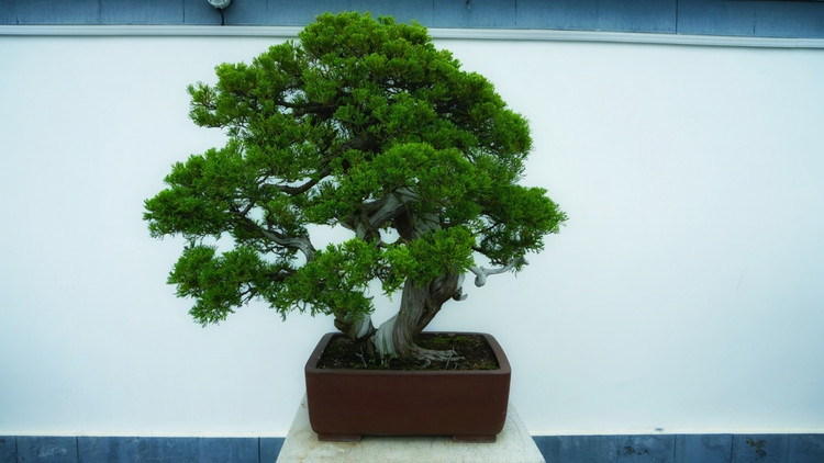 茅山宝盛园周边游玩,茅山宝盛园所有游乐设施