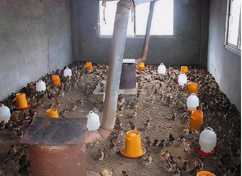 鸡拉稀干瘦怎么办,鸡拉稀鸡冠发黑怎么治