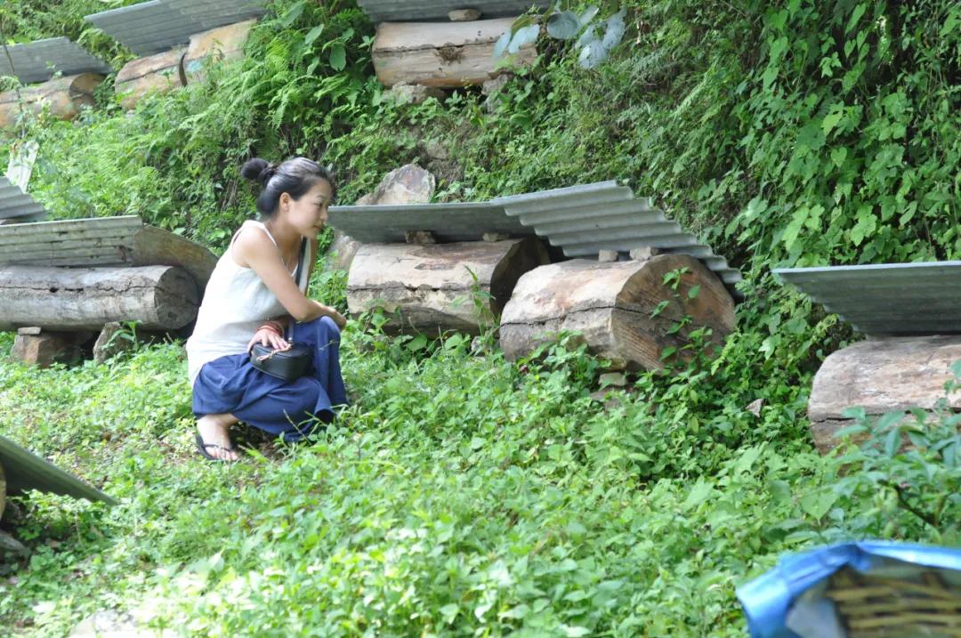 鎴戣闈掑北澶氬Ι濯氶潚灞辩湅鎴戝簲濡傛槸,鎴戣闈掑北澶氬Ι濯氭枡鎯抽潚灞卞簲濡傛槸