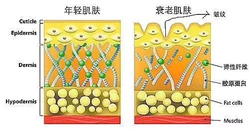防晒知识的介绍,防晒霜怎么选才能真正防晒