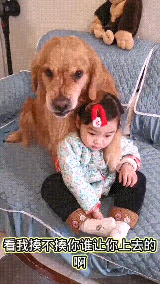 妈妈训孩子狗子护孩子,家长教育孩子对待宠物