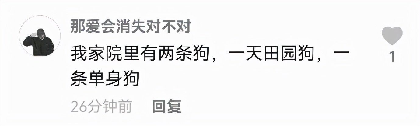 有趣的airpods耳机名称,airpods少一个耳机叫什么名字