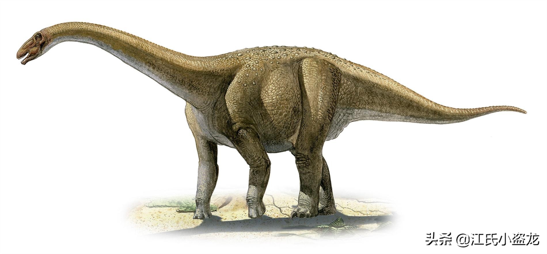 古生物时代有多少种恐龙,人类已经发现了多少恐龙种类