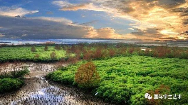 2050美国科技大赛,美国科学无国界挑战赛