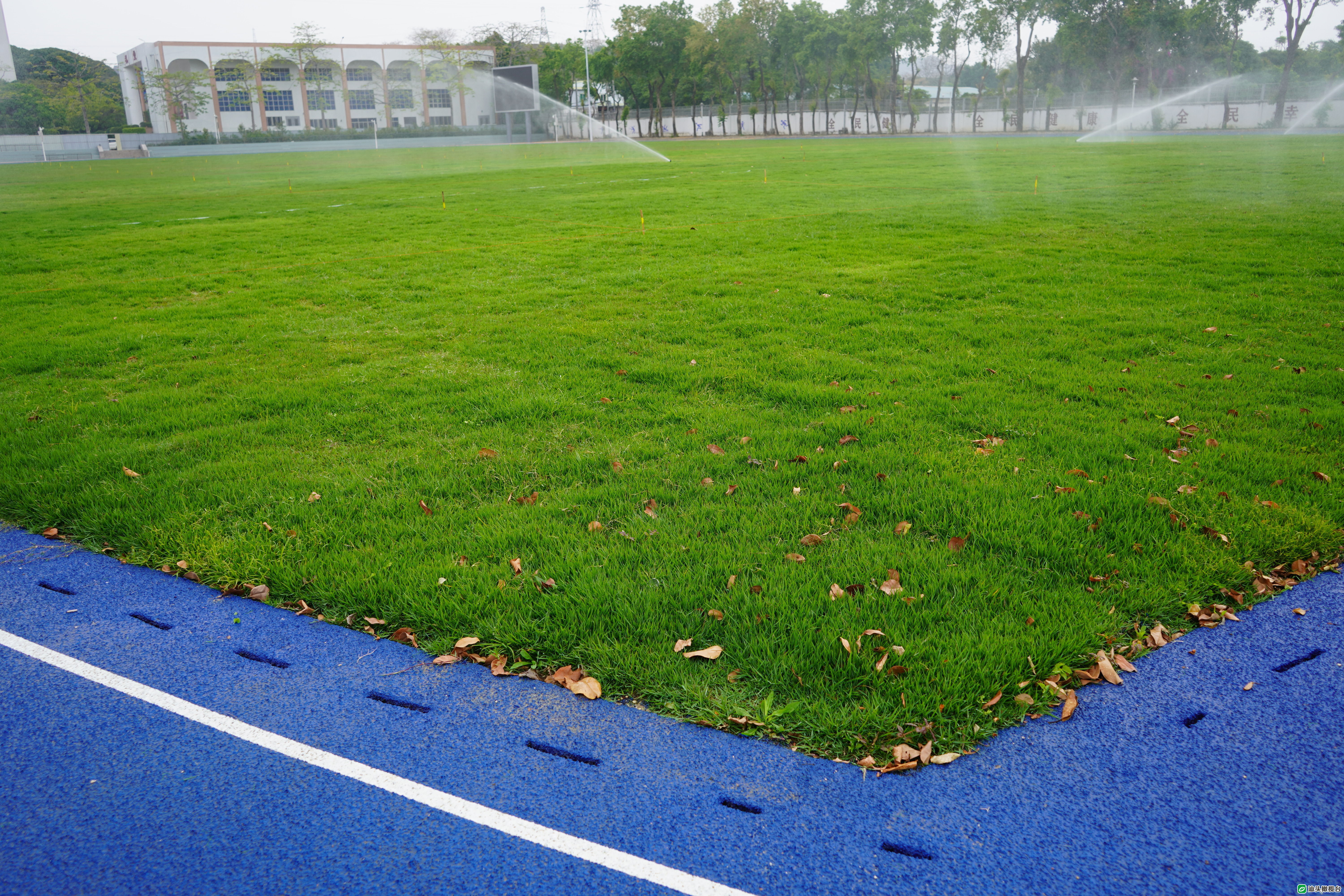 汕头亚青会足球赛,汕头亚青会三期