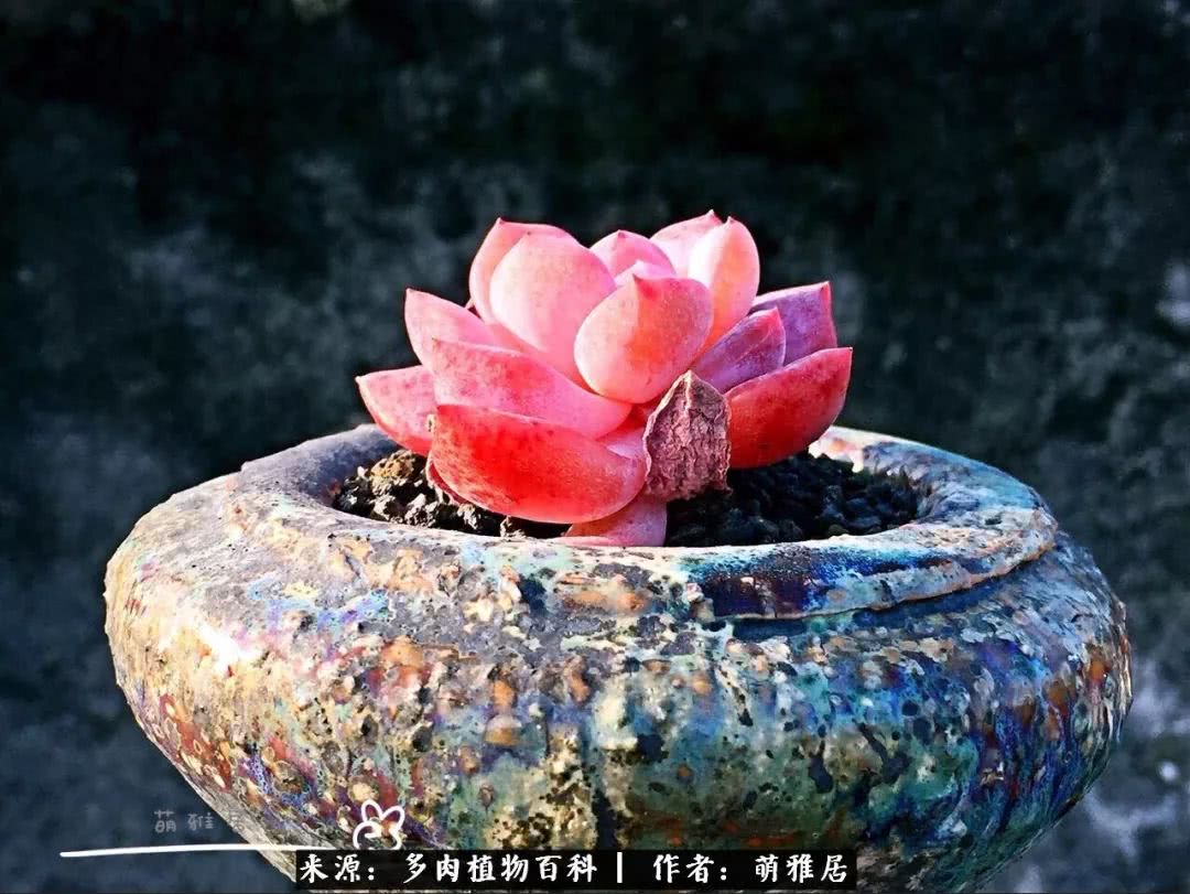 鍒濆啲鏆栭槼鍥寸倝鐓尪,鍐洦鍝佽尪