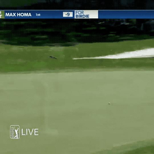 布恩斯8鸟零柏忌，与布拉德利并列4杆领跑，张新军遭淘汰