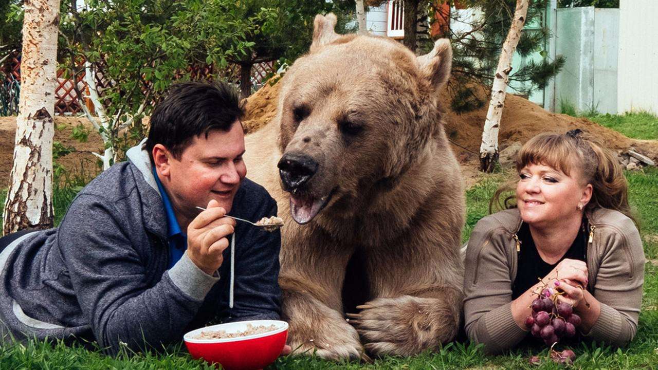 俄罗斯的食物到底有多难吃,俄罗斯食物有多难吃