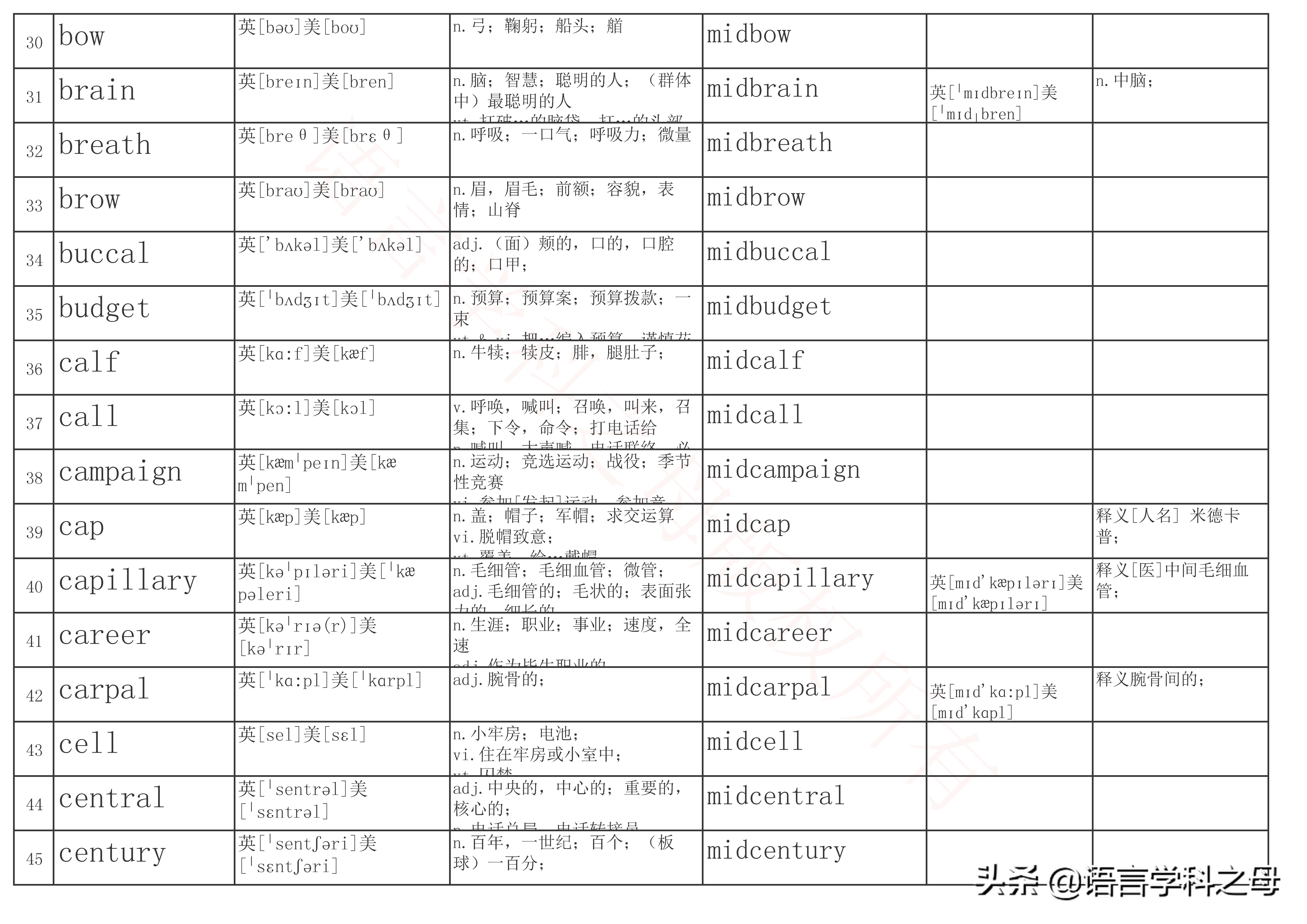 mid为前缀常见的单词,mid为前缀的单词有哪些