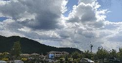 @长春人，这里有您一分田！快来认领！