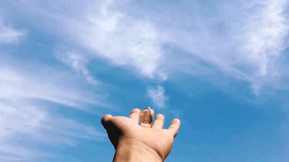 为什么有的大学叫高等专科学校,为什么有的大学叫本科