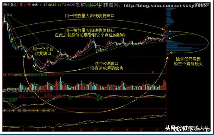 筹码分布战法全套讲解,筹码分布运用详解大全