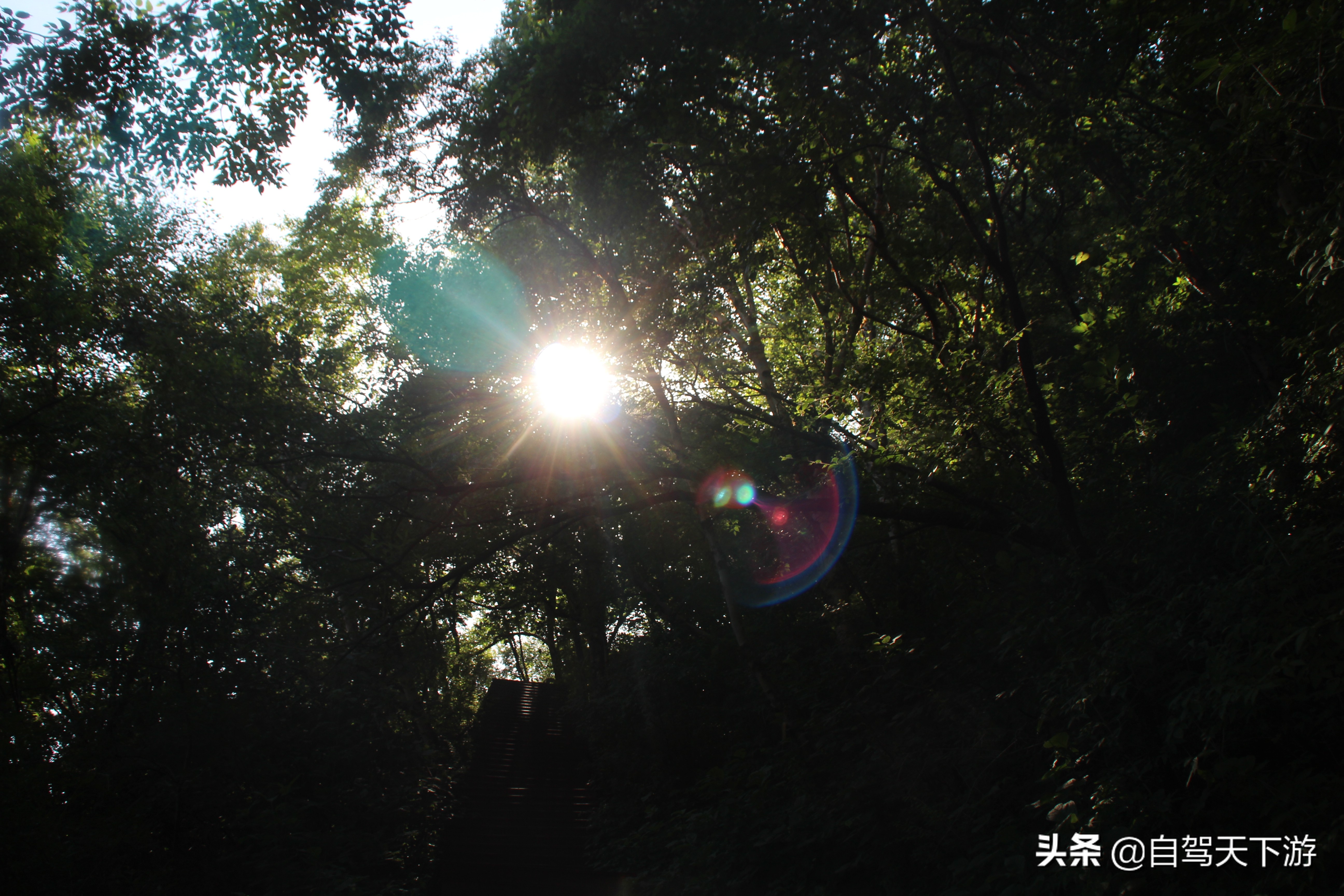 野三坡白草畔攻略,野三坡白草畔自驾游