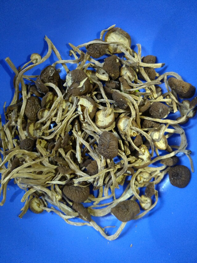 鸡汤里面加什么会解油腻,想要煲出的汤鲜甜必不可少