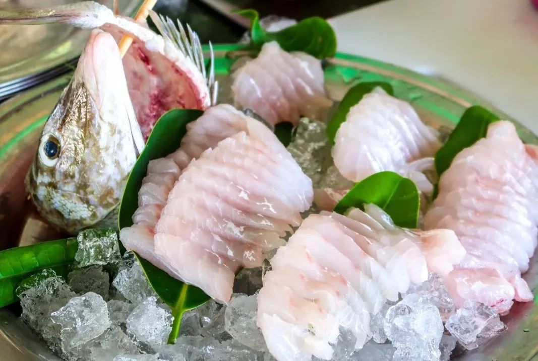 帕劳金色水母,帕劳水母旅行