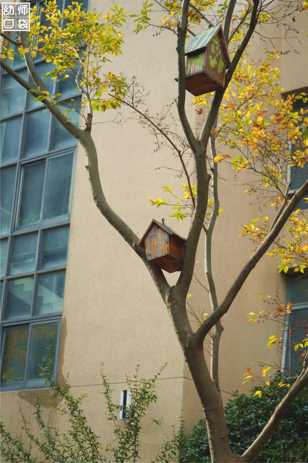 这里有最好的自然、最野的运动、最幸福的老师和孩子丨走进幼儿园