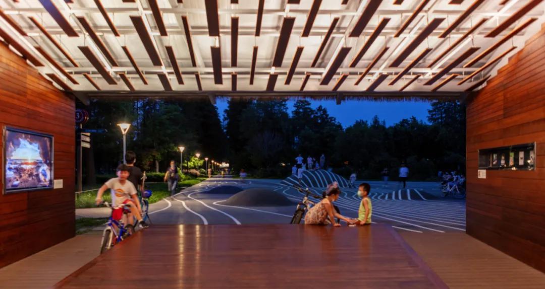 武汉华侨城湿地公园绿化,华侨城生态湿地公园武汉什么区