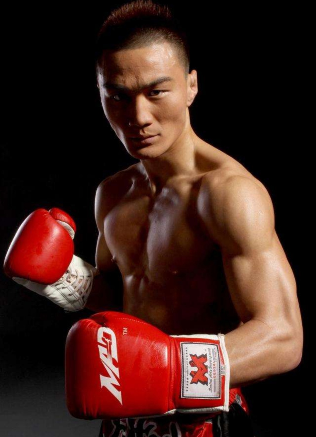 武林风重量级拳王排名,武林风世界排名前十的拳手