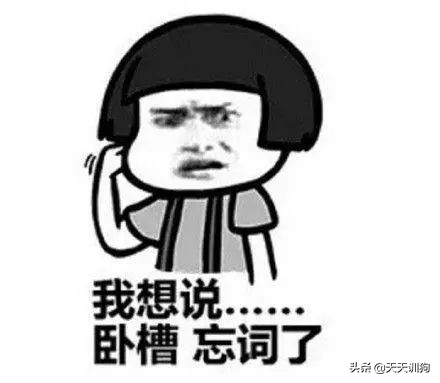 狗狗有虫子的症状表现,狗狗肚子里有虫子会有哪些表现