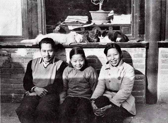 戴爱莲一生,戴爱莲2019年婚姻