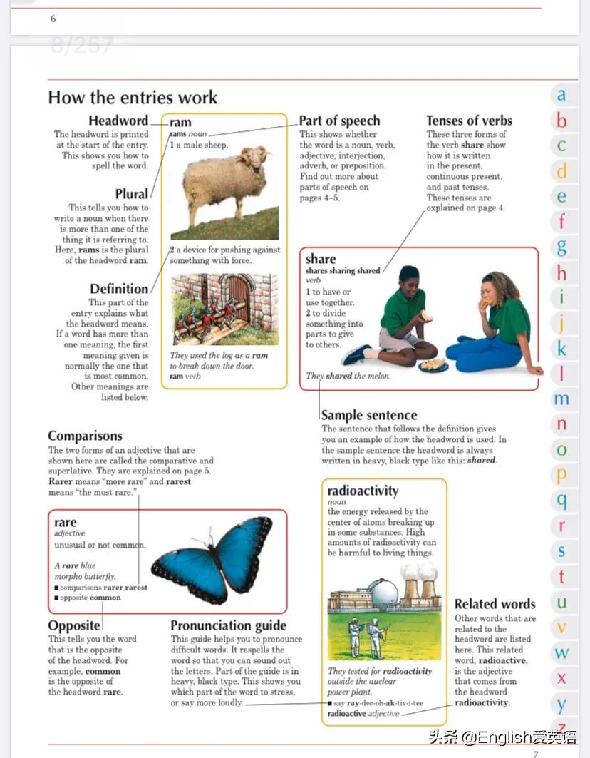 dk图书适合多大孩子,儿童英语字典图解