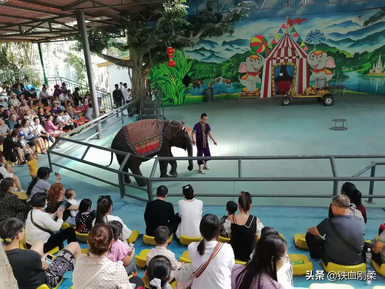 西双版纳景洪市景色壮丽的地方,西双版纳景洪市有什么好玩的景点