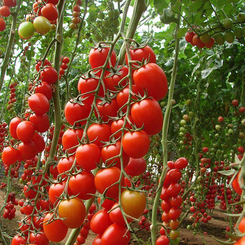 隐藏在英德一座微派风格的酒店—一幅灵动与纸上的古邑国画