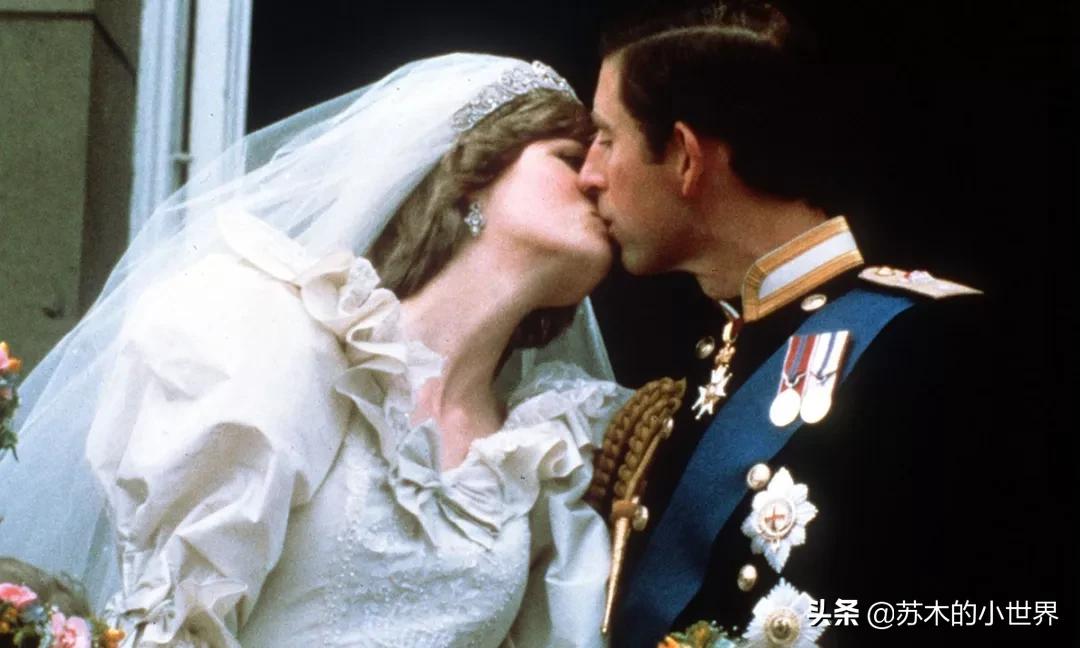 我想把“月亮、星辰、山川和竹林都穿在身上”