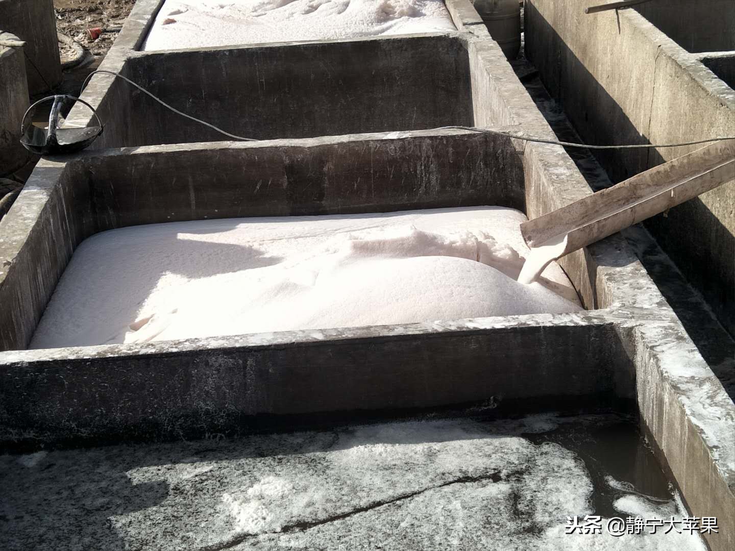 甘肃纯土豆粉条,农家纯土豆粉条纯手工的