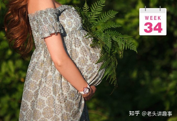 1-40周胎儿发育视频3d,胎儿1-40周发育全过程图解