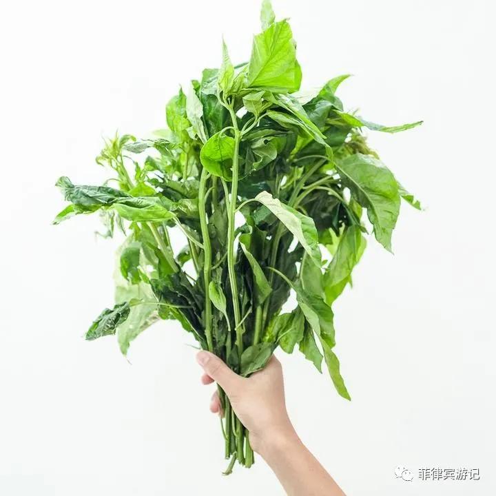 菲律宾青菜价格表,菲律宾蔬菜为什么那么贵