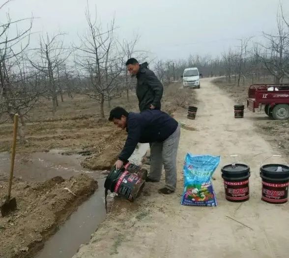 惊蛰过后果园清园和用药,惊蛰要干些什么农活