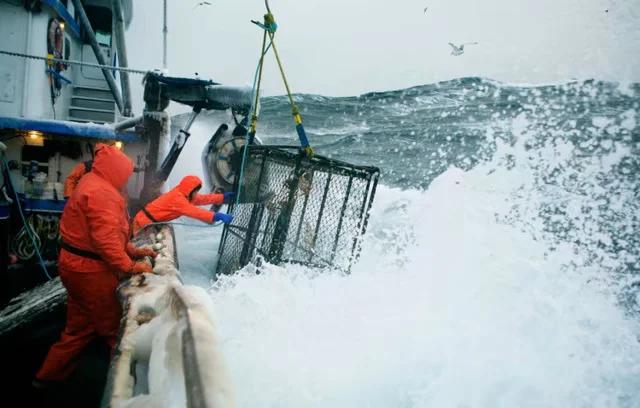 在多伦多吃喝玩乐,加拿大多伦多鱼乐轩大龙虾