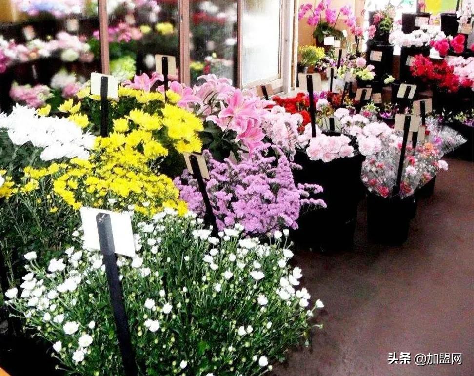 新手小白怎么开好一家花店,没有社会经验如何运转一家花店