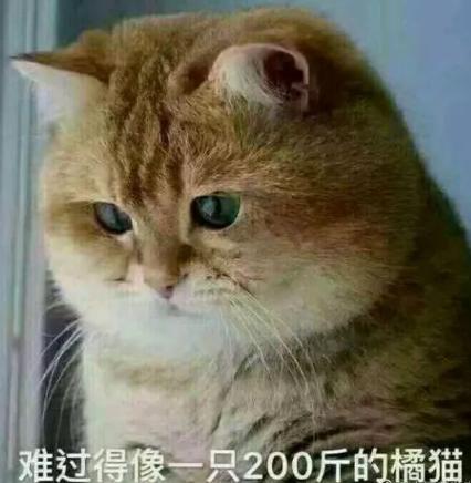 一分钱不充值的游戏,一分钱都不充的游戏