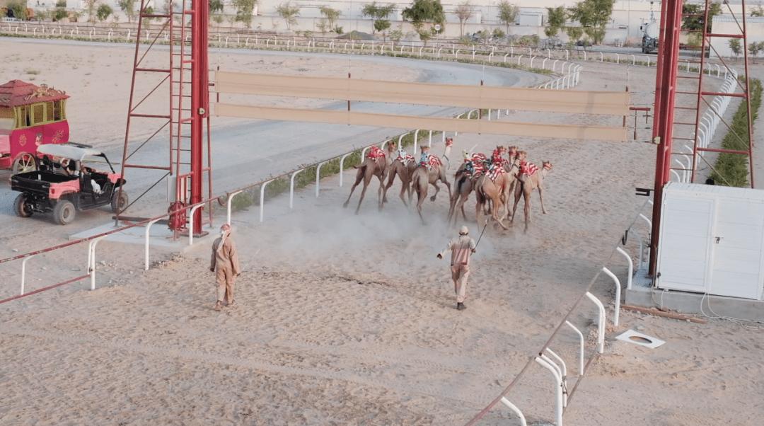 你不知道的10条国家冷知识——阿布扎比(迪拜的老大哥!)