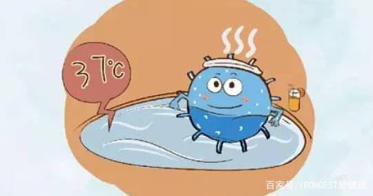 你知道益生菌的好处么,有人知道益生菌能提高免疫力吗