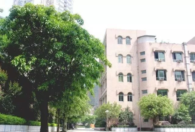 渝中区的民办初中有哪些,重庆渝中区初中有哪些学校